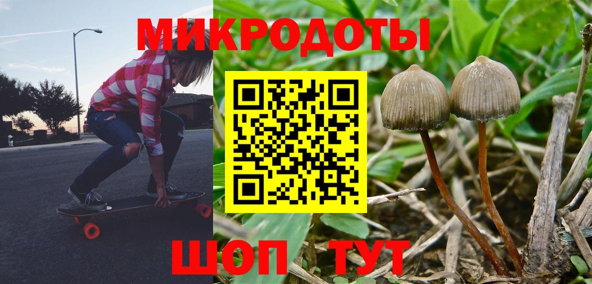 Галлюциногенные грибы GOLDEN TEACHER Новотроицк