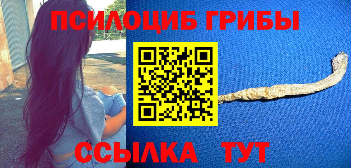 Новотроицк  купить наркоту  Вход с VPN  Галлюциногенные грибы Magic Shrooms 